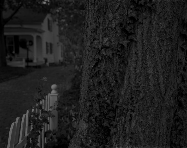 Untitled #5, (Tree Trunk, Picket Fence, and House), from Night Coming Tenderly, Black, 2017
