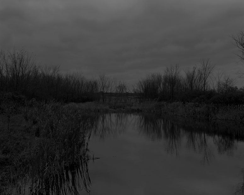 Untitled #12, (The Marsh), from Night Coming Tenderly, Black, 2017