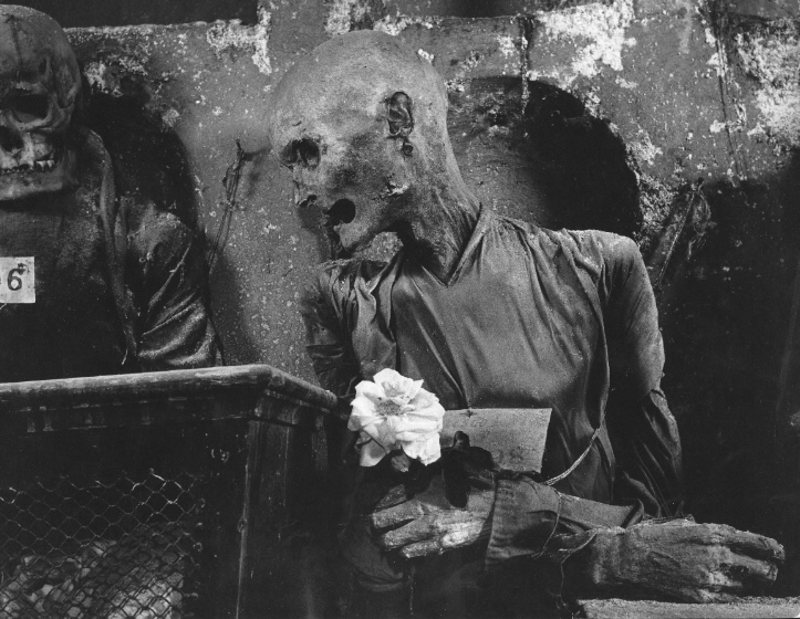 Conversation about a Rose, Palermo, 1950