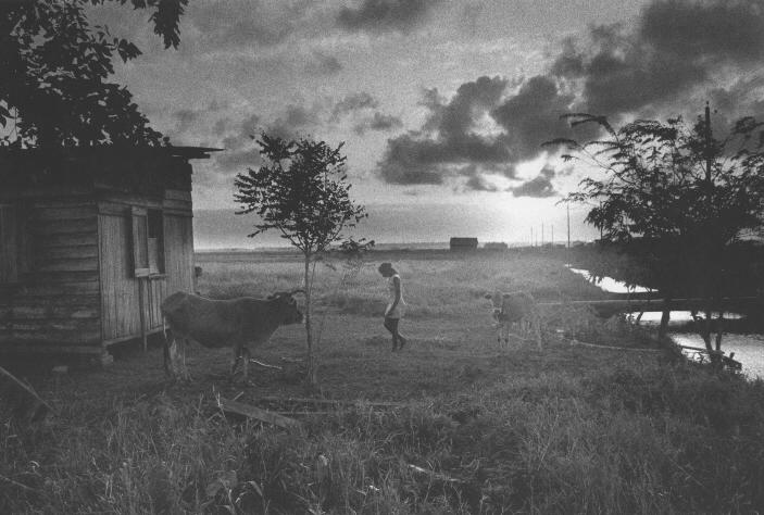 Nickerie, Suriname,  1975