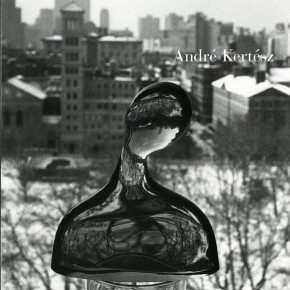 book cover of "Andre Kertesz: New York State of Mind" with glass sculpture overlooking park and buildings