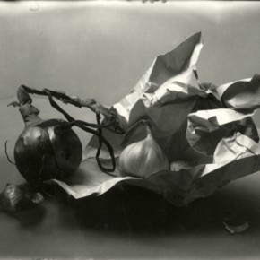 still-life of onion, garlic and crumpled piece of paper
