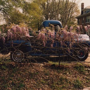 car behind fence with flowers growing along the top