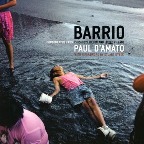 book cover: "Paul D'Amato: Barrio"