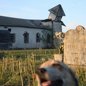 deteriorating Peter's Rock Church with gravestone and blurred dog's face in the foreground