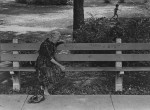 Thumbnail image: Jay King <br> Hohner [Horner] Park, Chicago, 1965