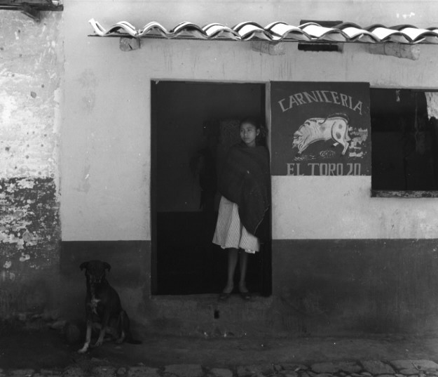 Manuel Alvarez-Bravo <br> Dog Number Twenty, Mexico, 1958
