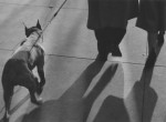 Thumbnail image: Lew Parrella <br> New York, 1952