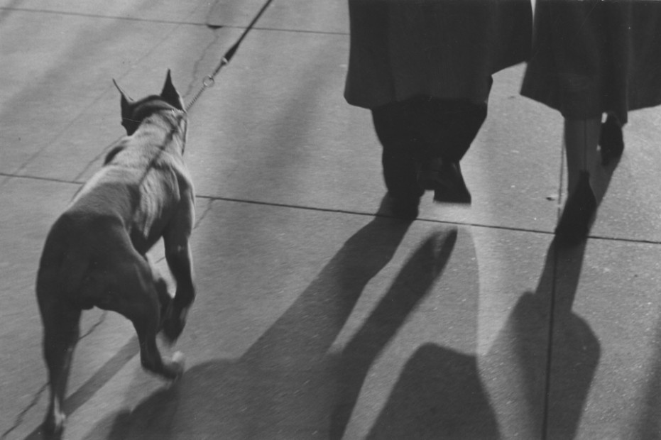 Lew Parrella <br> New York, 1952