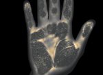 Thumbnail image: Gary Schneider<br>Genetic Self-Portrait Hand, 1997