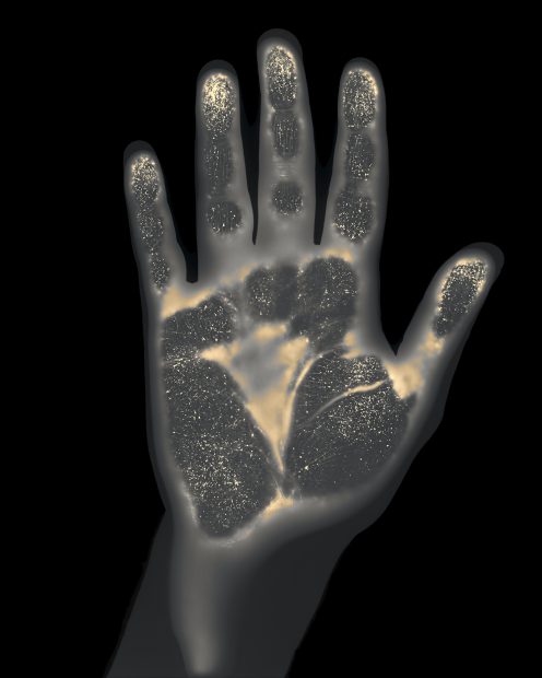 Gary Schneider<br>Genetic Self-Portrait Hand, 1997