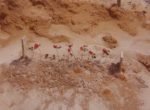 Thumbnail image: William Christenberry<br>Child's Grave with Rosebuds, Hale County, AL, 1975