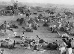 Thumbnail image: Marc Riboud<br>Rajasthan, 1956