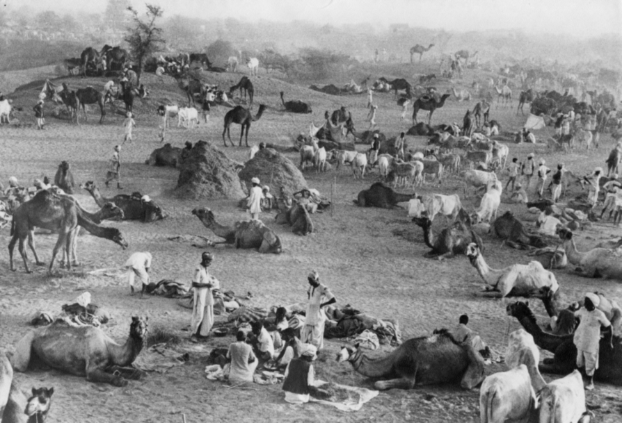Marc Riboud<br>Rajasthan, 1956