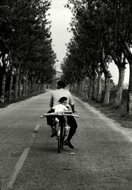 Provence, 1955
