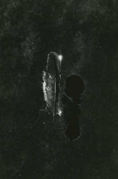 Feather, 1960