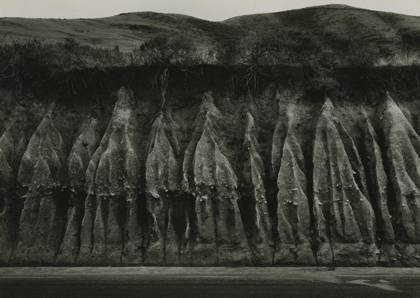 Wynn Bullock<br>Erosion, 1959