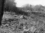 Thumbnail image: The Pond, 1980-1983