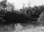 Thumbnail image: The Pond, 1980-3