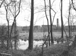 Thumbnail image: The Pond, 1982