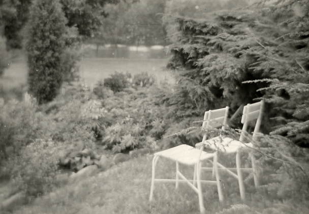 The Royal Gardens, 1962