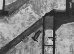 Thumbnail image: Landing Pigeon, New York, 1960