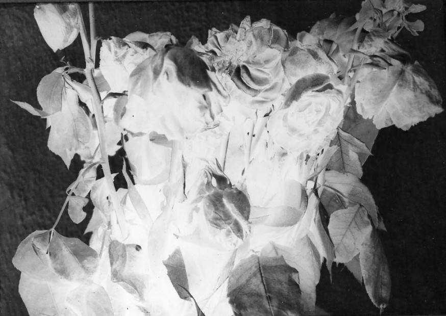 Faded Roses, Murray Drive Studio, Los Angeles, 1958-59