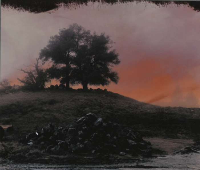 Tree with Rockpile in Fog, 1998