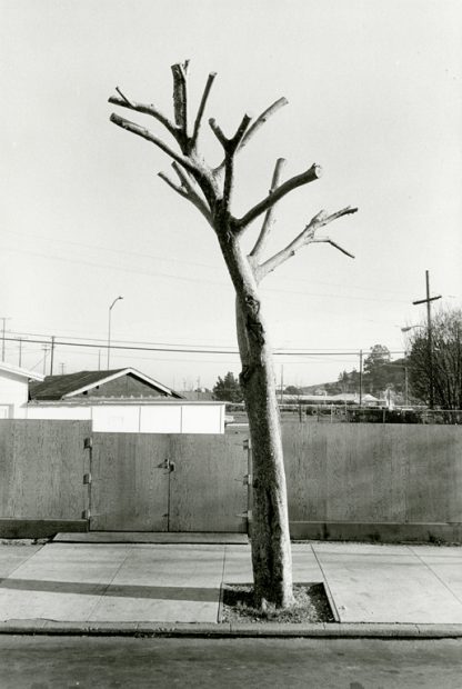 Henry Wessel<br>Point Richmond, 1985