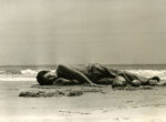 Untitled (boy laying on beach near Montauck)