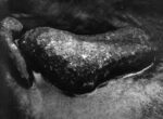 Thumbnail image: Untitled, (Water series, two rocks in shallow stream), 1965