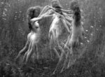 Thumbnail image: Swedlund Untitled (dancing female nudes), c. 1966