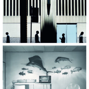 Inside / Outside: Photographs by Clarissa Bonet and Lynne Cohen